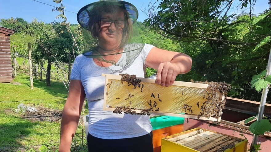 Juni u pčelinjaku znači mjesec vrcanja, formiranja umjetnih rojeva i rojenja