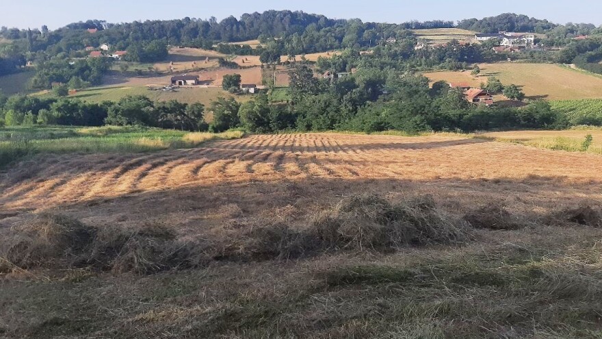 Kako smanjiti gubitke kod pripreme sijena?