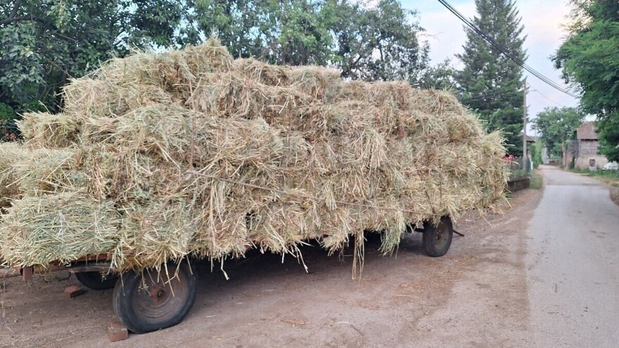 Od čega zavisi prinos i kvalitet sena?