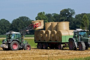 Eurostat izdao godišnju publikaciju o poljoprivredi, šumarstvu i ribarstvu