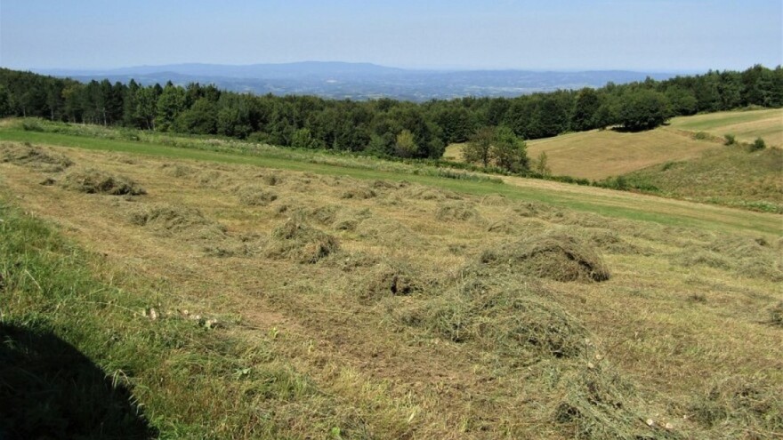 Kako odstraniti suvišnu vlagu iz sijena?