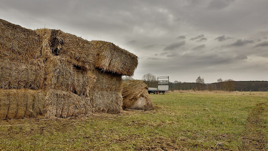 Sremci pomogli stočaru sa Stare planine