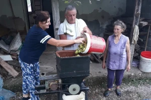Seoske avlije mirišu na pekmez i sirće od jabuka