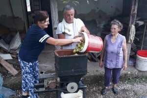 Seoske avlije mirišu na pekmez i sirće od jabuka