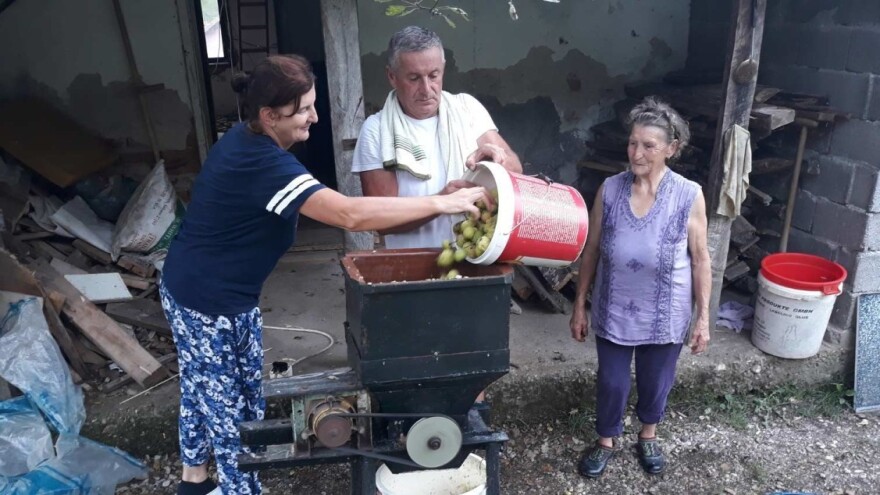 Seoske avlije mirišu na pekmez i sirće od jabuka