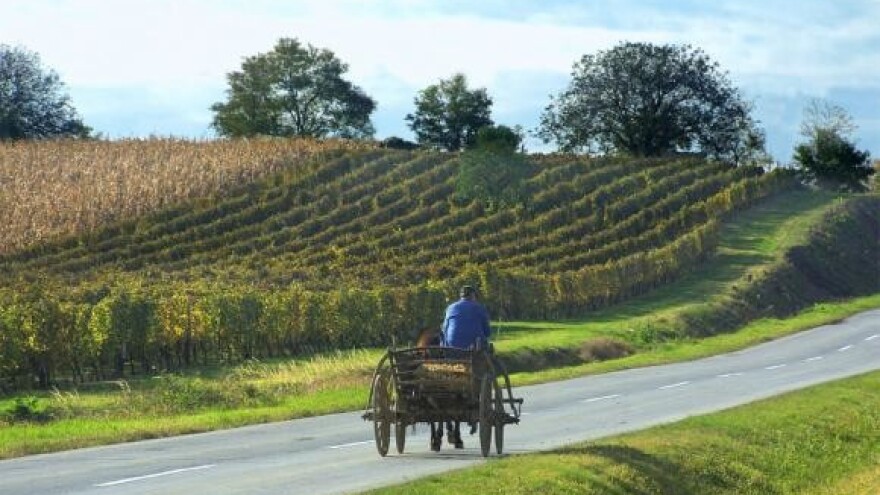 Razvoj turizma na selu - kreditni program