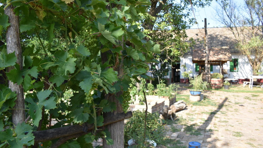 OPG-ovima dodijeljeno 600.000 kuna potpora za turizam: Natječaj je i dalje otvoren