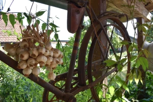 Vlada izmijenila program "Mikro i mali zajmovi za ruralni razvoj"
