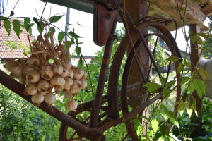 Vlada izmijenila program "Mikro i mali zajmovi za ruralni razvoj"