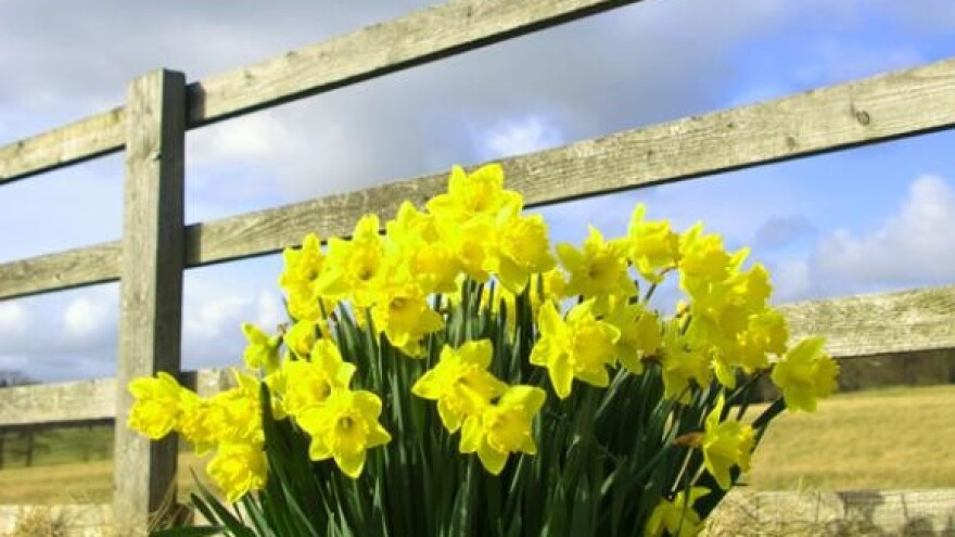 Domaći ugođaj vrjedniji od zlata