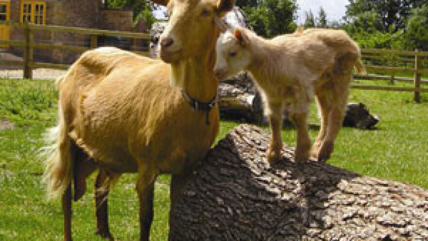 Videospotom promovira imanje