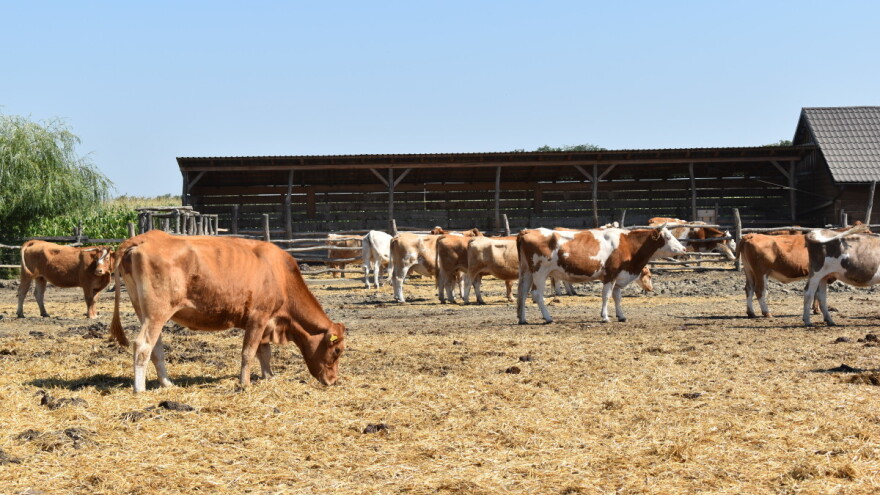 Krenula je isplata za dobrobit životinja - ukupno 25,4 milijuna eura