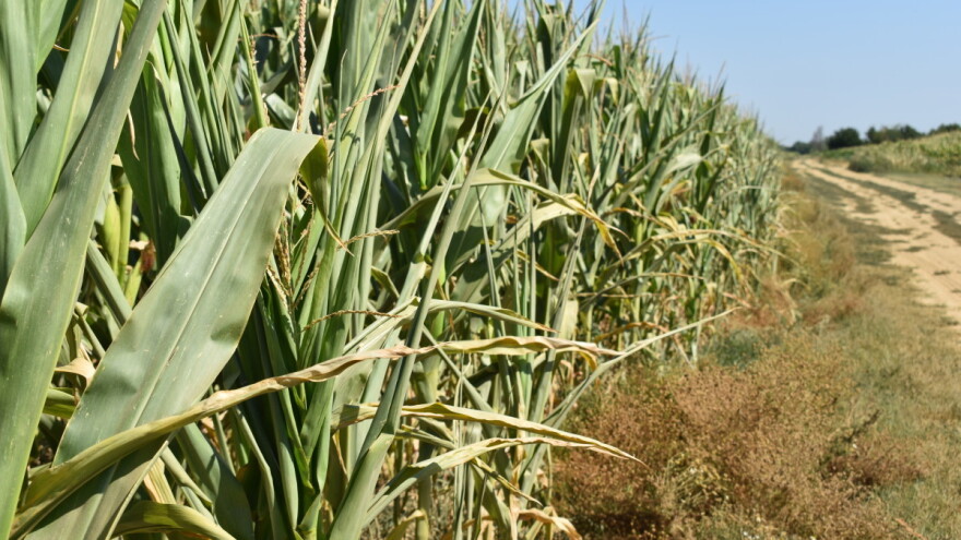 Očekuje nas vedro, vruće i suho vrijeme, no mogućnost za kišu postoji
