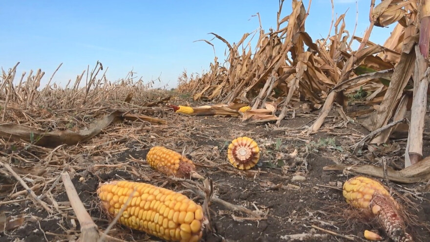 Poljoprivrednici bez odmora u septembru: Pripreme za sljedeći ciklus
