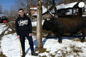 "Medeni" megdandžija spreman za nove pobede