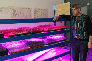 Baby leafs, microgreens i salate iz vertikalne farme - domaći pioniri predstavili 3 proizvoda