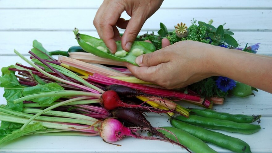 Samo sertifikat dokazuje da je neki proizvod organski