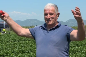 Gradimir Šešelj: Jagoda mi je u srcu, jednostavno san se zaljubija