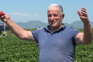 Gradimir Šešelj: Jagoda mi je u srcu, jednostavno san se zaljubija