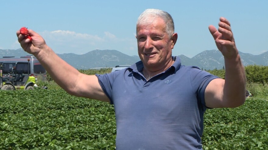 Gradimir Šešelj: Jagoda mi je u srcu, jednostavno san se zaljubija