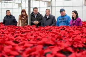 Šest mjeseci nakon katastrofalnog nevremena isplaćene naknade za štetu od tuče