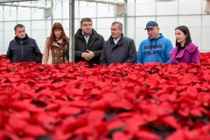 Šest mjeseci nakon katastrofalnog nevremena isplaćene naknade za štetu od tuče