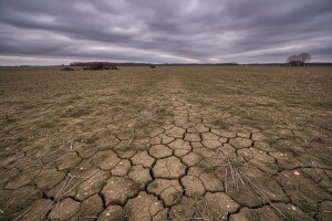 Šesta ostavka u Ministarstvu poljoprivrede