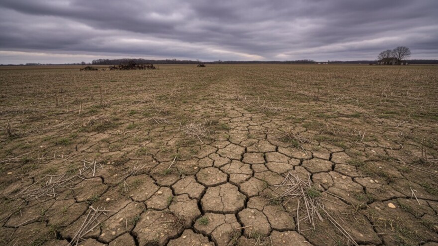 Šesta ostavka u Ministarstvu poljoprivrede