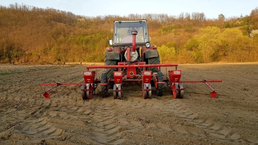 Raste broj registrovanih gazdinstava, razlog - mogućnost dobijanja podsticaja?