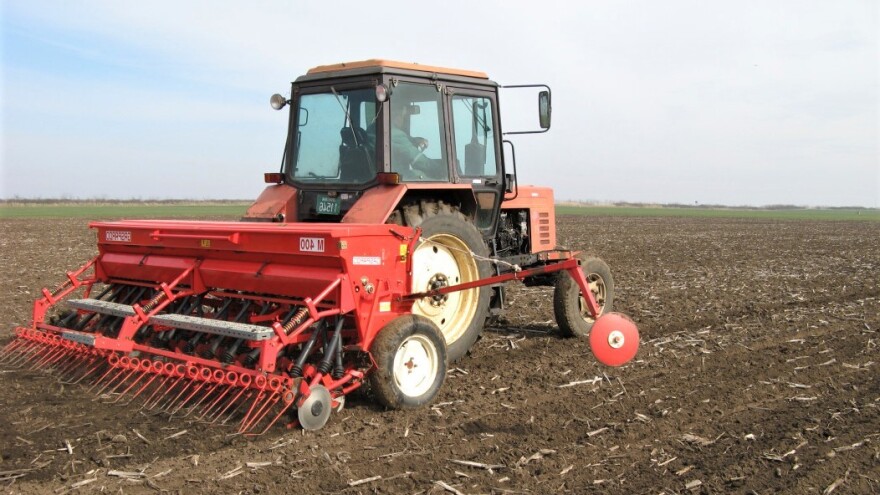 Pripreme za setvu pšenice: Moguće ukupne površine - 600.000 ha?