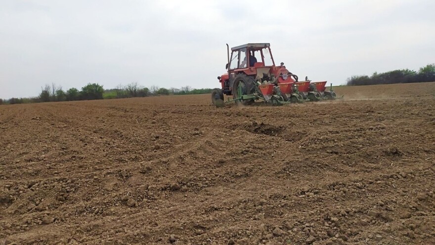 Mnoge njive ostale neuzorane - meso ćemo plaćati kao zlato