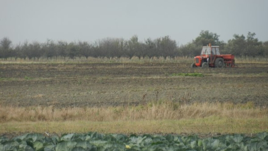Od setve do žetve potrebno oko 70.000 dinara