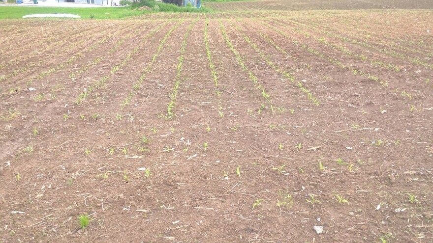 Za poljoprivredu pola miliona KM: Sanirati će se posljedice pandemije