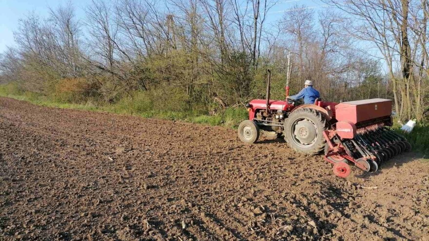 Кako odabrati i pripremiti parcelu za sjetvu lucerke i crvene djeteline?