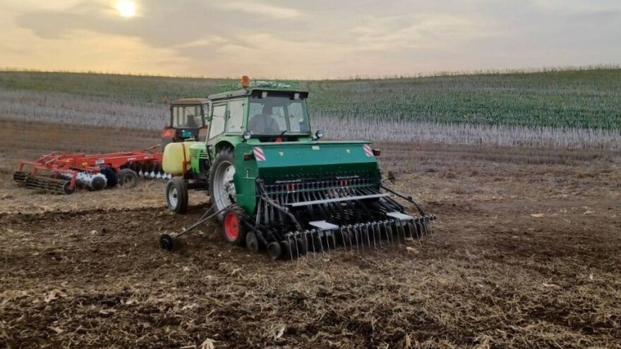 Setva pšenice: Birati deklarisano, a ne "seme sa tavana"