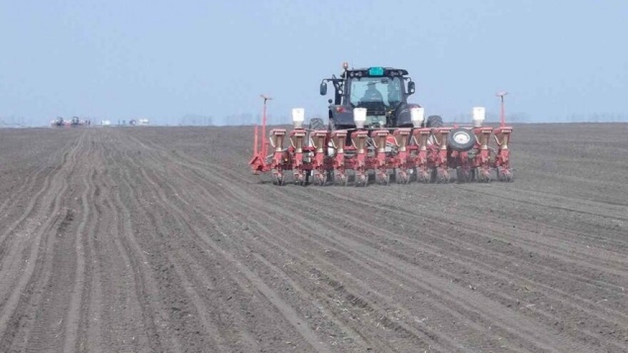 Setva šećerne repe pri kraju