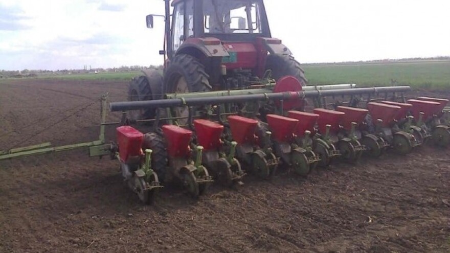 Manje soje na srednjobanatskim njivama