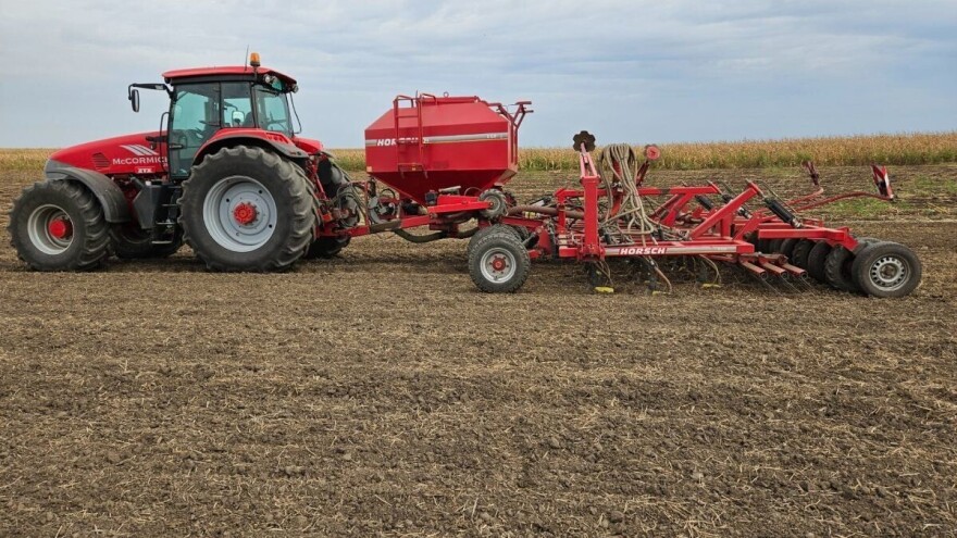 Na što trebate paziti kako bi izbjegli greške kod sjetve uljane repice?