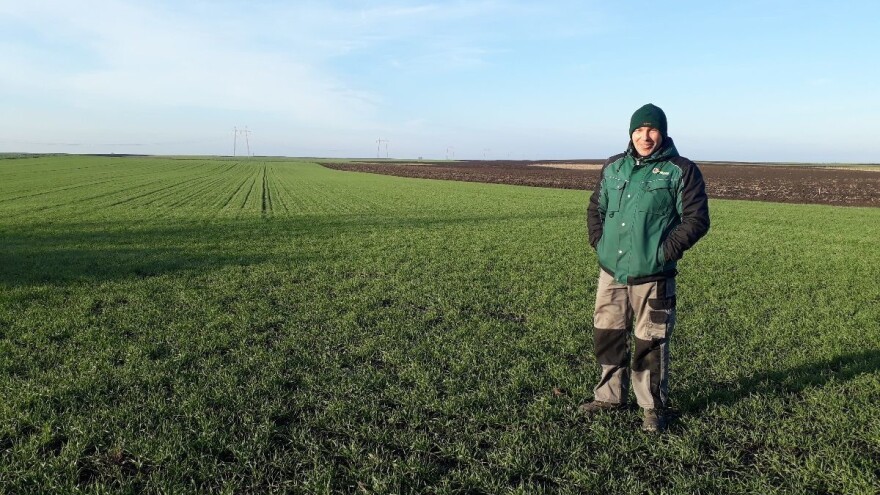 Pšenica odlazi u prošlost - južnobanatski ratari prešli na drugu kulturu