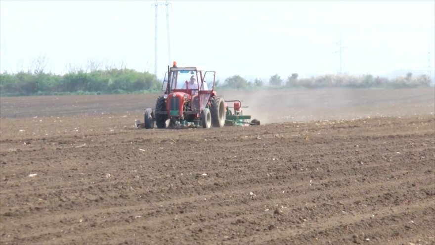 Poljoprivrednici Srema: Sve je skupo, ali sejati moramo!