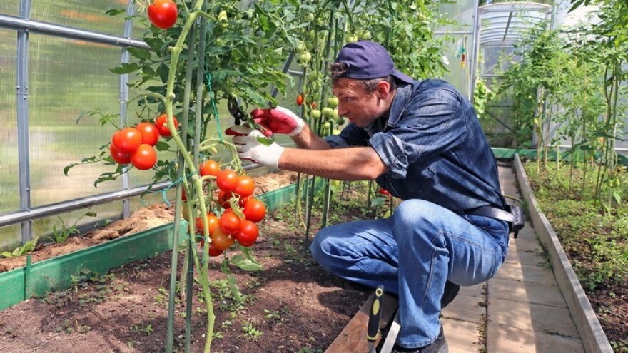 Najbolji poticaj za zapošljavanje je dobar radnik!