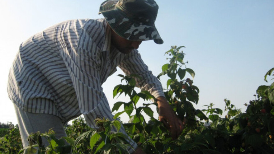 Primedbe poljoprivrednika na propise