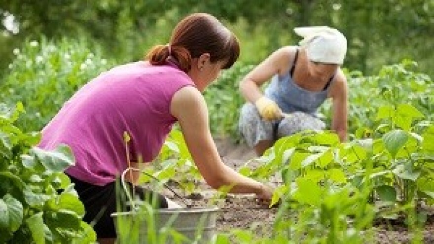Mjera "stalni sezonac" ostala nezapažena