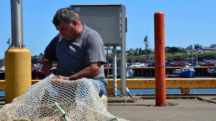 Otvoreno je savjetovanje za mjeru I.9. Privremeni prestanak ribolova koćama