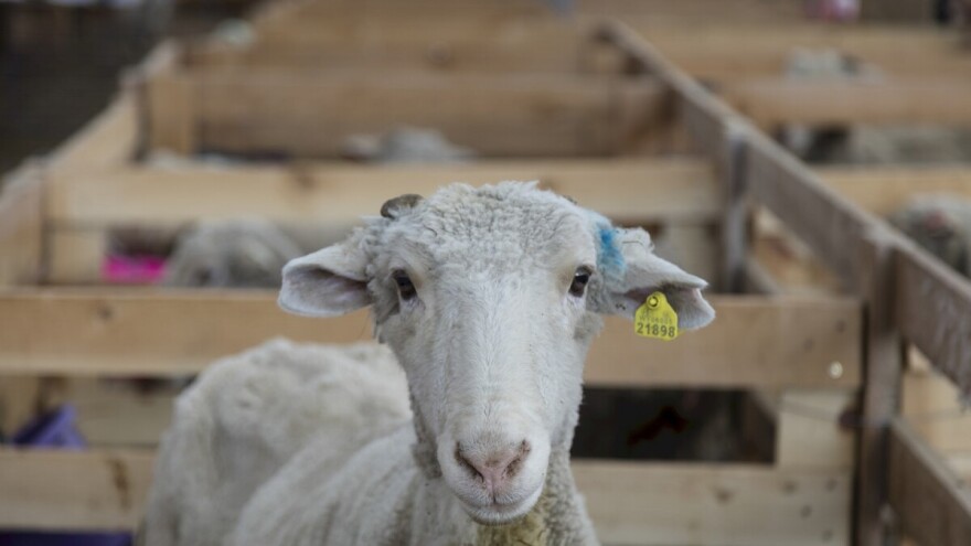 237.640 KM za sufinanciranje projekata razvoja ruralne konkurentnosti