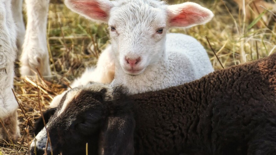 Isplata poticaja nakon inspekcijskog nadzora