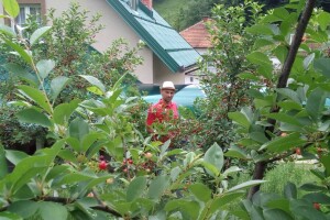 Uspješni Salkići se fokusirali na tradicionalne sokove i direktnu prodaju