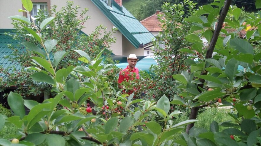 Uspješni Salkići se fokusirali na tradicionalne sokove i direktnu prodaju