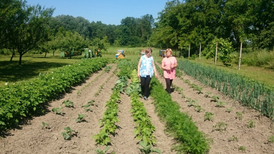 Obavijest prijaviteljima za operacije 4.1.1. i 4.1.2