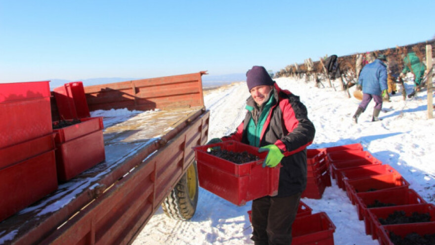 Nešto moramo sami poduzeti, a ne stalno čekati EU